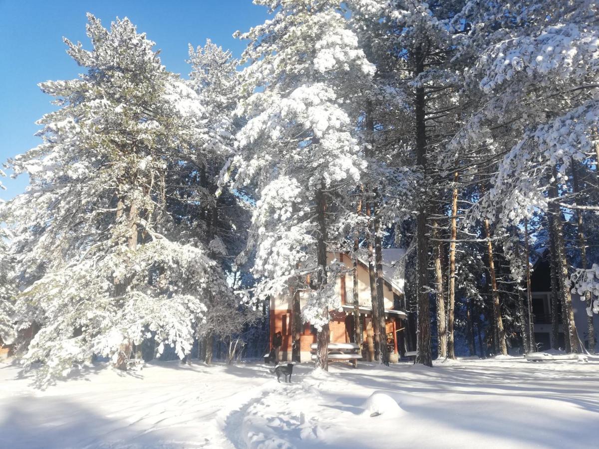 Rustic Home Tara Kaludjerske Bare Exterior photo